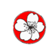 karate hinode dojo latina